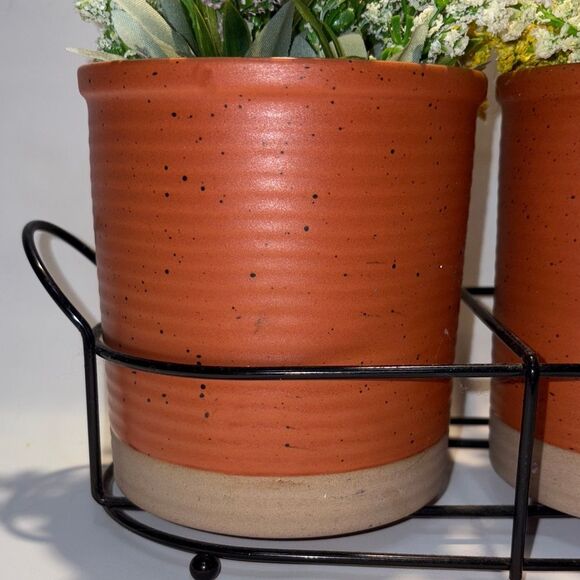 Terracotta Planters with Flowers - Picture 3 of 8